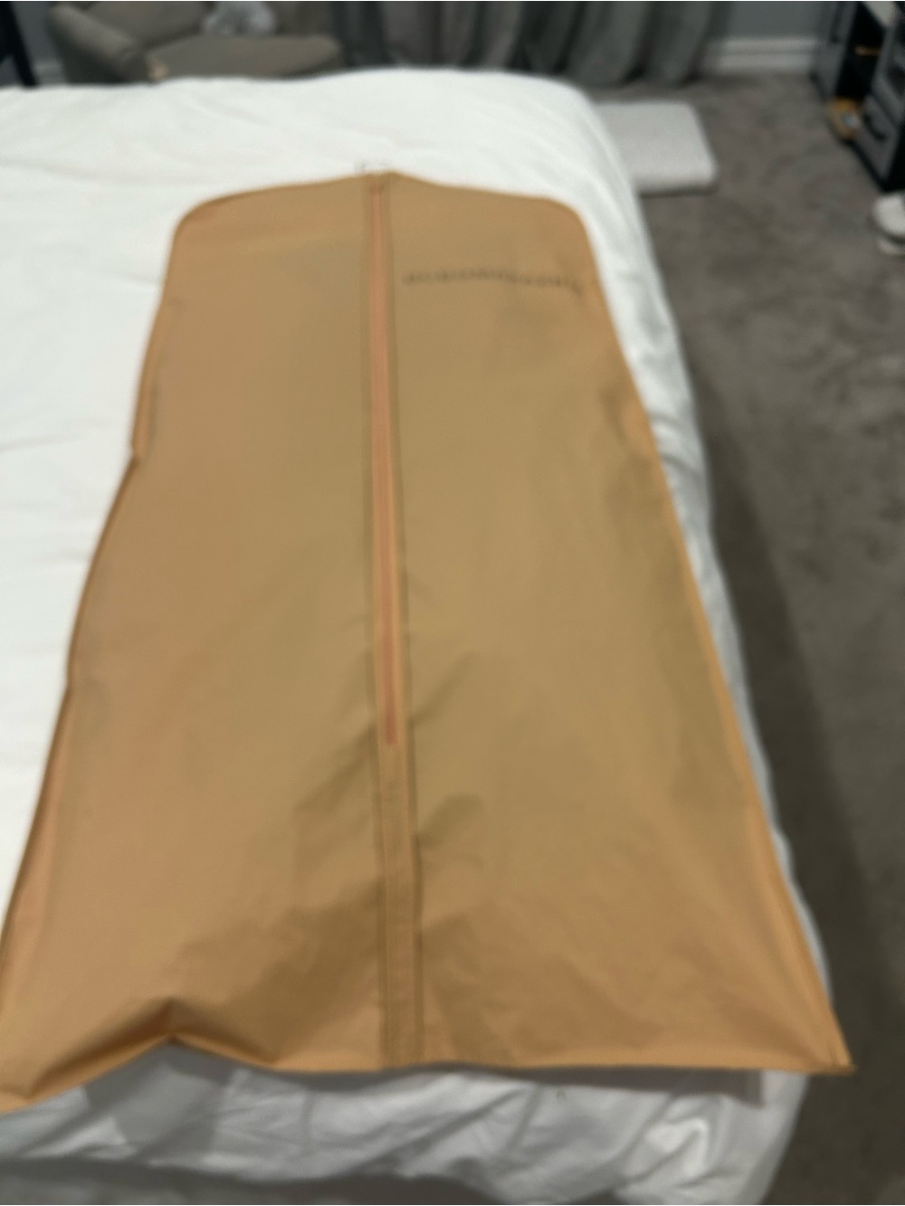 BCBGMaxAzria Tan Men's Garment Bag
